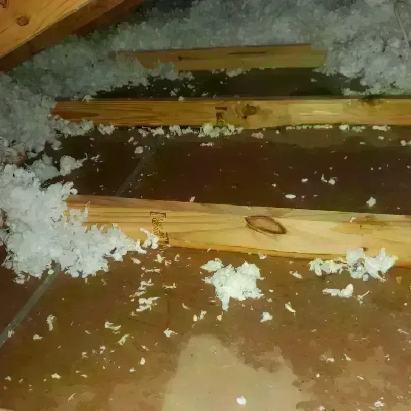 Attic Water Damage in Star City, AR